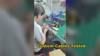 Cable Harness Assembly Contract Manufacturer 100% Tested Before Shipping
