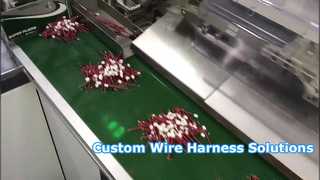 China Cable And Wiring Harness Manufacturing