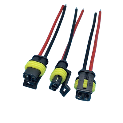 Custom Hook-Up Wire | 2 Pin Waterproof Plug Wire Harness Connector for Car  | Made in China | No Minimum Order