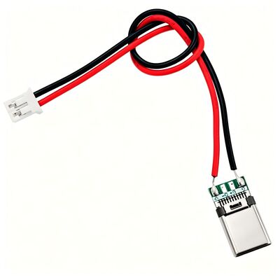 OEM Custom Wiring Harness | Type-C Male to PH2.0 2Pin Power Cable | 2.0mm Pitch Terminal Wire with Gold-Plated Connector for Small Electronic Modules | ISO9001 China Manufacturer