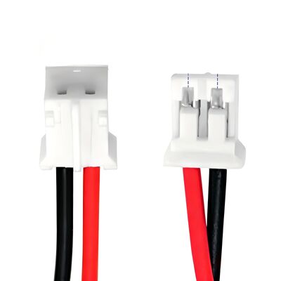 OEM Custom Wiring Harness | Type-C Male to PH2.0 2Pin Power Cable | 2.0mm Pitch Terminal Wire with Gold-Plated Connector for Small Electronic Modules | ISO9001 China Manufacturer