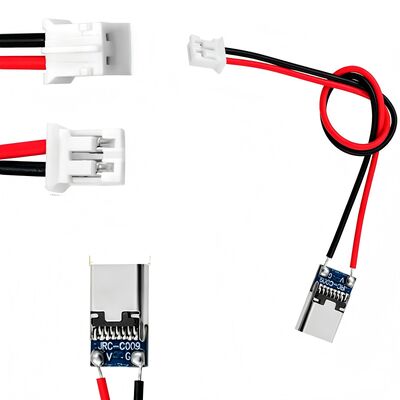 OEM Custom Wiring Harness | Type-C Male to PH2.0 2Pin Power Cable | 2.0mm Pitch Terminal Wire with Gold-Plated Connector for Small Electronic Modules | ISO9001 China Manufacturer