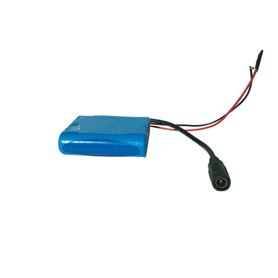 2200mAh 12 Volt Rechargeable Battery MSDS NMC 1000 Cycle