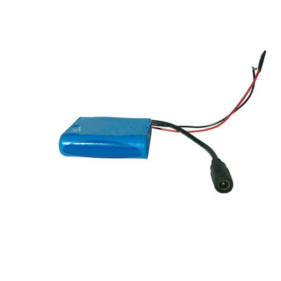 Custom Li-ion Battery Pack with Dual Connectors | 18650 Battery Pack | 2200mAh 12 Volt Rechargeable Battery MSDS NMC 1000 Cycle for DIY Projects | China Manufacturing Factory