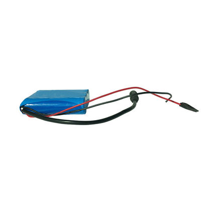 Custom Li-ion Battery Pack with Dual Connectors | 18650 Battery Pack | 2200mAh 12 Volt Rechargeable Battery MSDS NMC 1000 Cycle for DIY Projects | China Manufacturing Factory