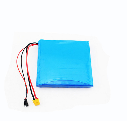 Custom Design 2.2Ah 36 Volt Lithium Battery For Electric Hoverboard